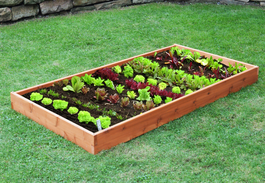 Regallion Outdoor Western Red Cedar Single Layer Raised Garden Bed - LEAD TIME TO SHIP 7 BUSINESS DAYS OR LESS