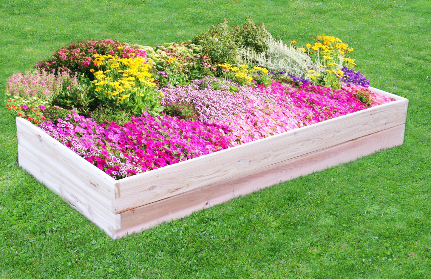 A&L Furniture Co. Western Red Cedar Double Layer Raised Garden Bed - LEAD TIME TO SHIP 4 WEEKS OR LESS