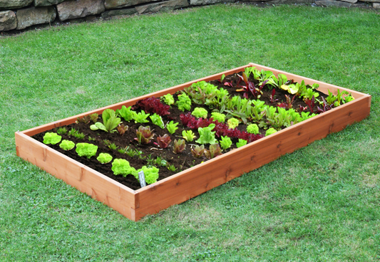 Regallion Outdoor Western Red Cedar Single Layer Raised Garden Bed - LEAD TIME TO SHIP 2 WEEKS