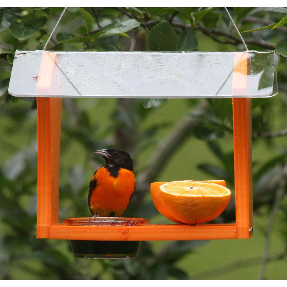 Green Solutions Recycled Plastic Oriole Feeder - Ships Within 7 to 10 Business Days