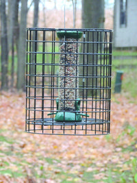 Birds Choice Wire Cage for Bird Feeder 13"