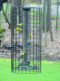 Birds Choice Wire Cage for Bird Feeder